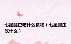 七星瓢虫吃什么食物（七星瓢虫吃什么）