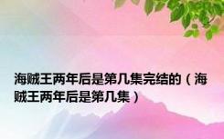 海贼王两年后是第几集完结的（海贼王两年后是第几集）
