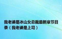 我老婆是冰山女总裁最新章节目录（我老婆是上司）