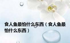 食人鱼最怕什么东西（食人鱼最怕什么东西）