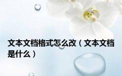 文本文档格式怎么改（文本文档是什么）