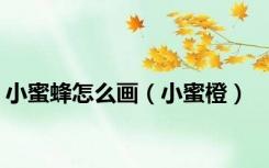 小蜜蜂怎么画（小蜜橙）