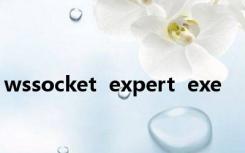 wssocket  expert  exe