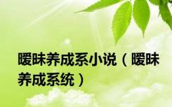 暧昧养成系小说（暧昧养成系统）