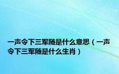 一声令下三军随是什么意思（一声令下三军随是什么生肖）