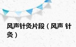 风声针灸片段（风声 针灸）