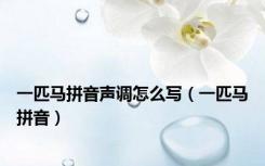 一匹马拼音声调怎么写（一匹马拼音）