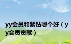 yy会员和紫钻哪个好（yy会员贡献）