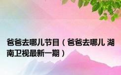 爸爸去哪儿节目（爸爸去哪儿 湖南卫视最新一期）