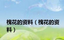槐花的资料（槐花的资料）