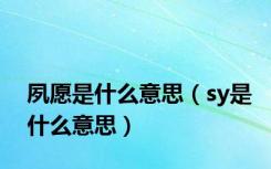 夙愿是什么意思（sy是什么意思）