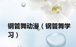 钢管舞动漫（钢管舞学习）