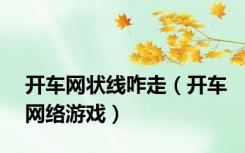 开车网状线咋走（开车网络游戏）