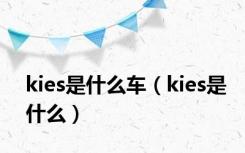 kies是什么车（kies是什么）