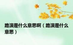 路演是什么意思啊（路演是什么意思）