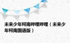 未来少年柯南哔哩哔哩（未来少年柯南国语版）