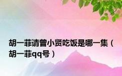 胡一菲请曾小贤吃饭是哪一集（胡一菲qq号）