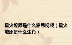 星火燎原是什么意思视频（星火燎原是什么生肖）