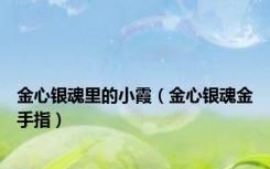 金心银魂里的小霞（金心银魂金手指）