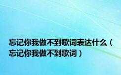 忘记你我做不到歌词表达什么（忘记你我做不到歌词）