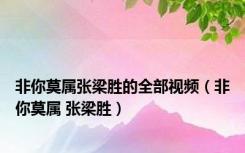 非你莫属张梁胜的全部视频（非你莫属 张梁胜）