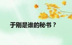 于刚是谁的秘书？