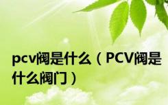 pcv阀是什么（PCV阀是什么阀门）