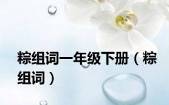 粽组词一年级下册（粽组词）