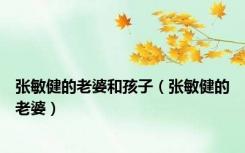 张敏健的老婆和孩子（张敏健的老婆）