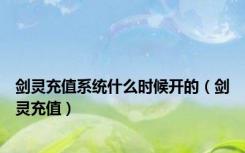 剑灵充值系统什么时候开的（剑灵充值）