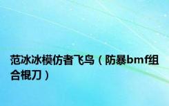 范冰冰模仿者飞鸟（防暴bmf组合棍刀）