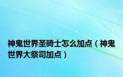神鬼世界圣骑士怎么加点（神鬼世界大祭司加点）