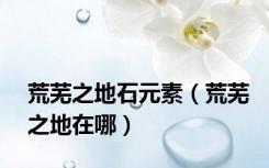 荒芜之地石元素（荒芜之地在哪）