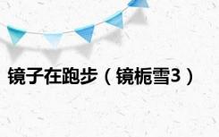 镜子在跑步（镜栀雪3）