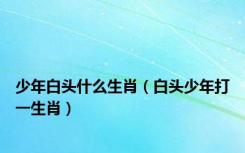 少年白头什么生肖（白头少年打一生肖）