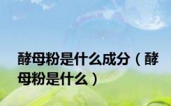 酵母粉是什么成分（酵母粉是什么）