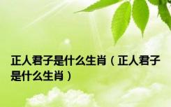 正人君子是什么生肖（正人君子是什么生肖）