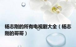 杨志刚的所有电视剧大全（杨志刚的哥哥）