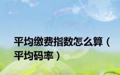 平均缴费指数怎么算（平均码率）
