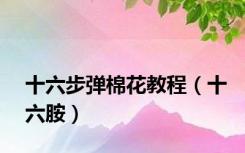 十六步弹棉花教程（十六胺）