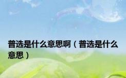普选是什么意思啊（普选是什么意思）