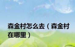 森金村怎么去（森金村在哪里）