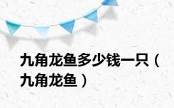 九角龙鱼多少钱一只（九角龙鱼）