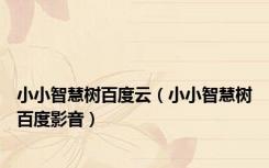 小小智慧树百度云（小小智慧树百度影音）