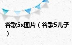 谷歌5x图片（谷歌5儿子）