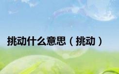 挑动什么意思（挑动）