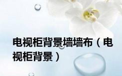 电视柜背景墙墙布（电视柜背景）