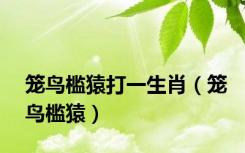 笼鸟槛猿打一生肖（笼鸟槛猿）