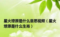星火燎原是什么意思视频（星火燎原是什么生肖）