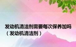 发动机清洁剂需要每次保养加吗（发动机清洁剂）